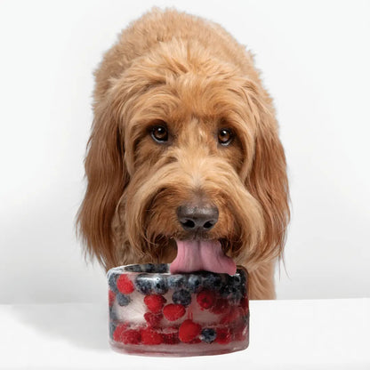 Customizable Frozen Dog Treat Bowl